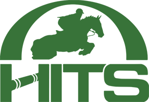 Hits logo mobile