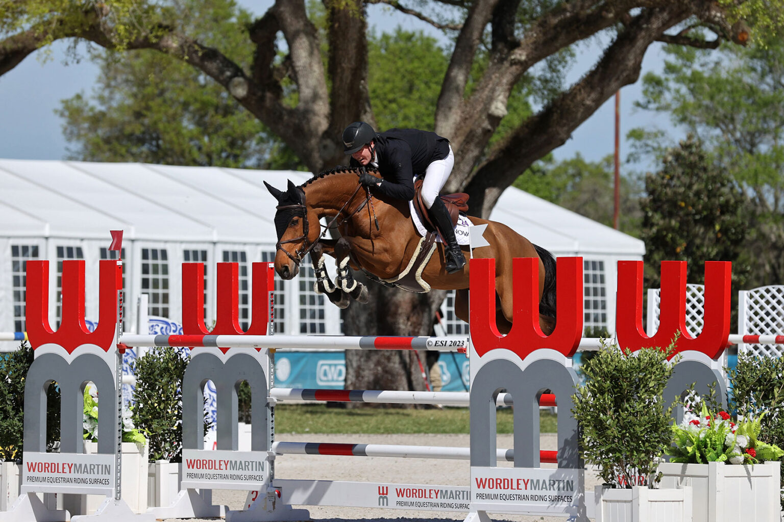 Home - HITS Horse Shows