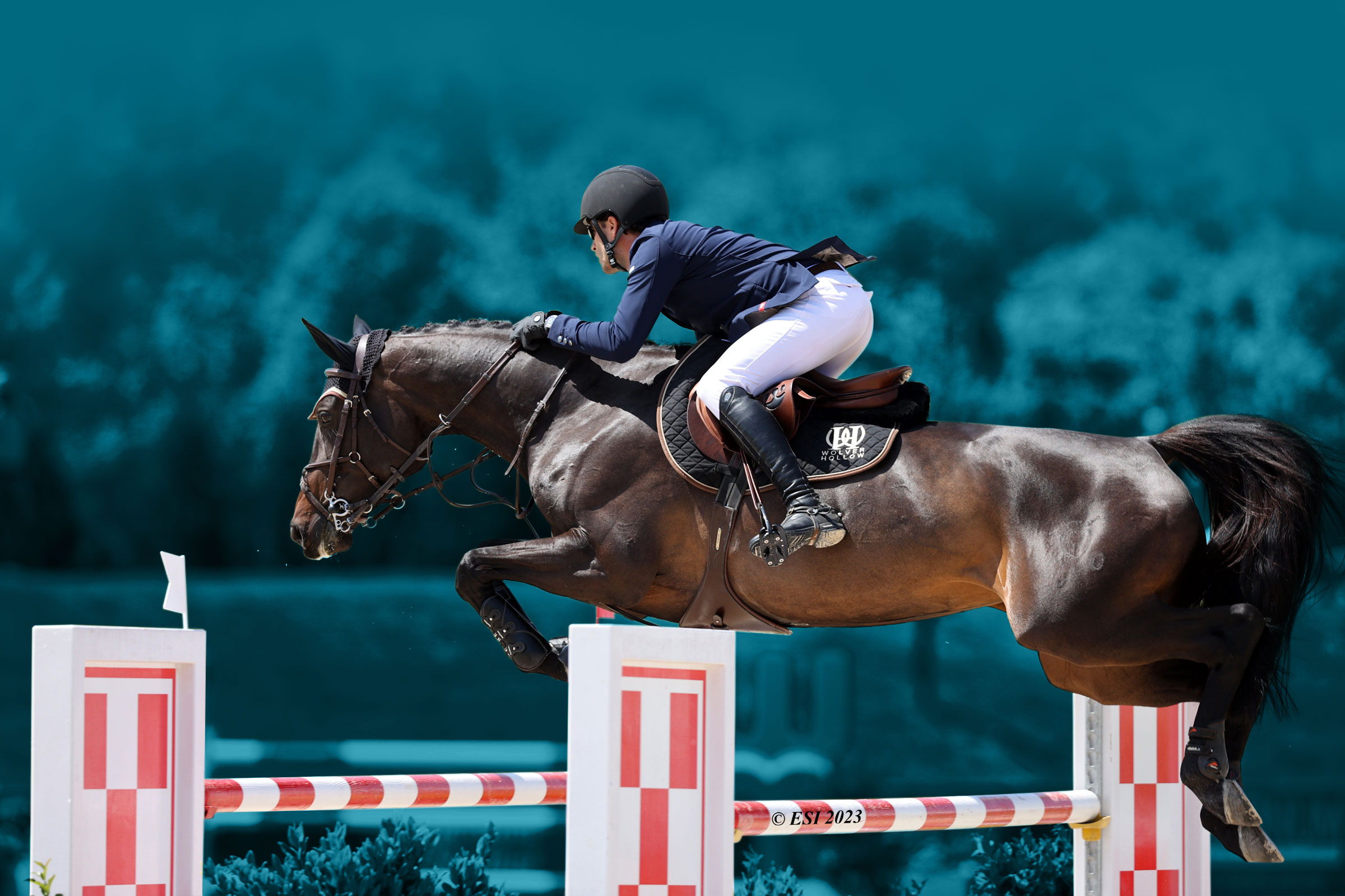 Jumper rider jumping a horse