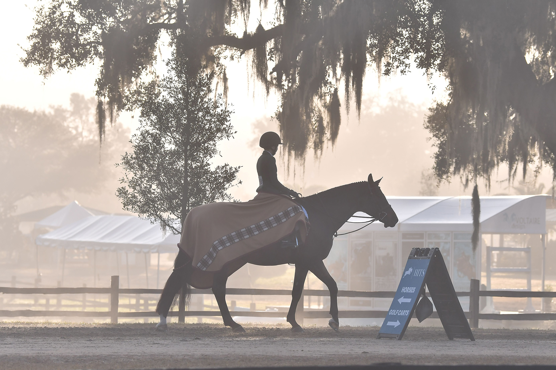 HITS Ocala HITS Horse Shows