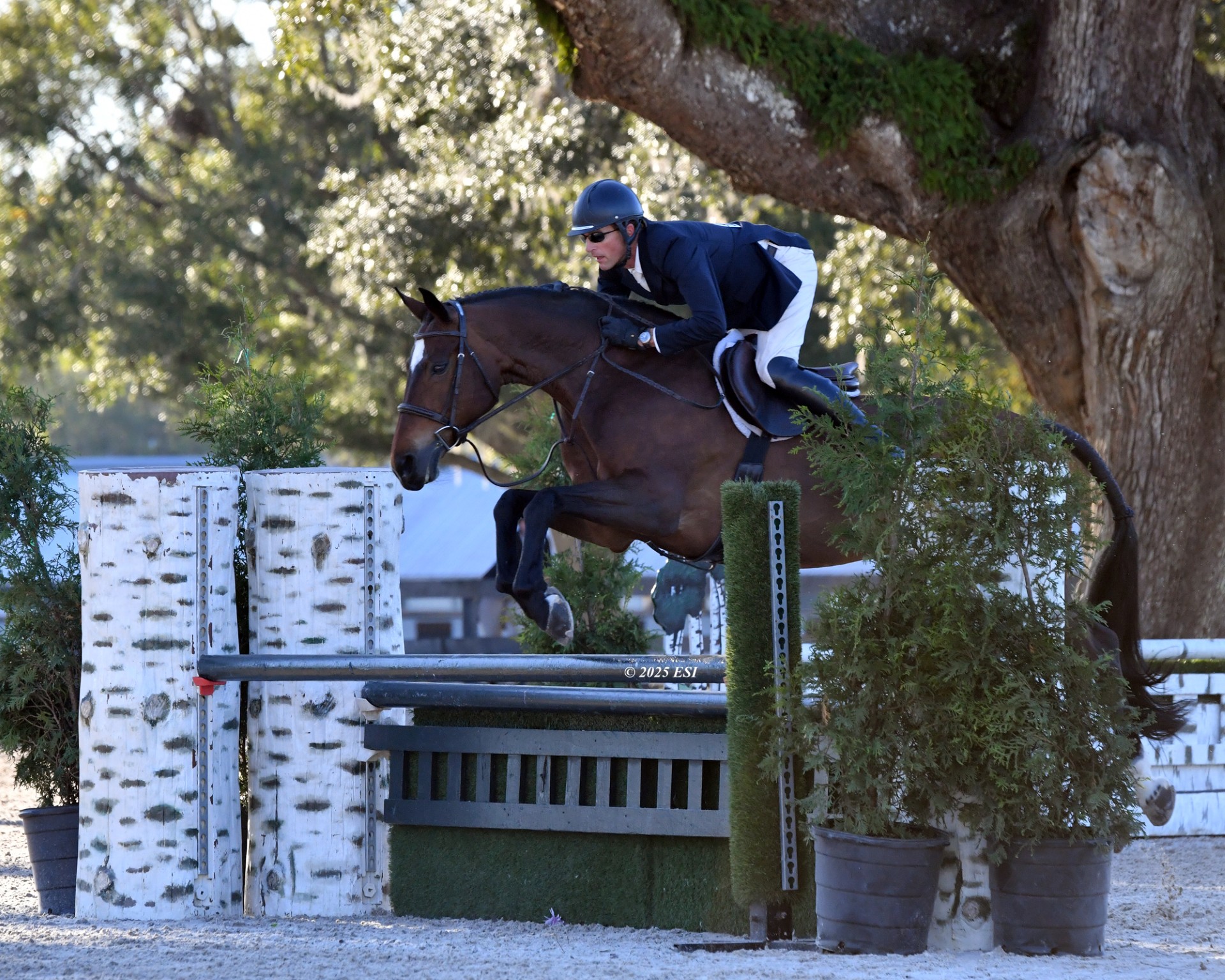 David Wilbur Doubles Victory in $5,000 USHJA National Hunter Derby with ...